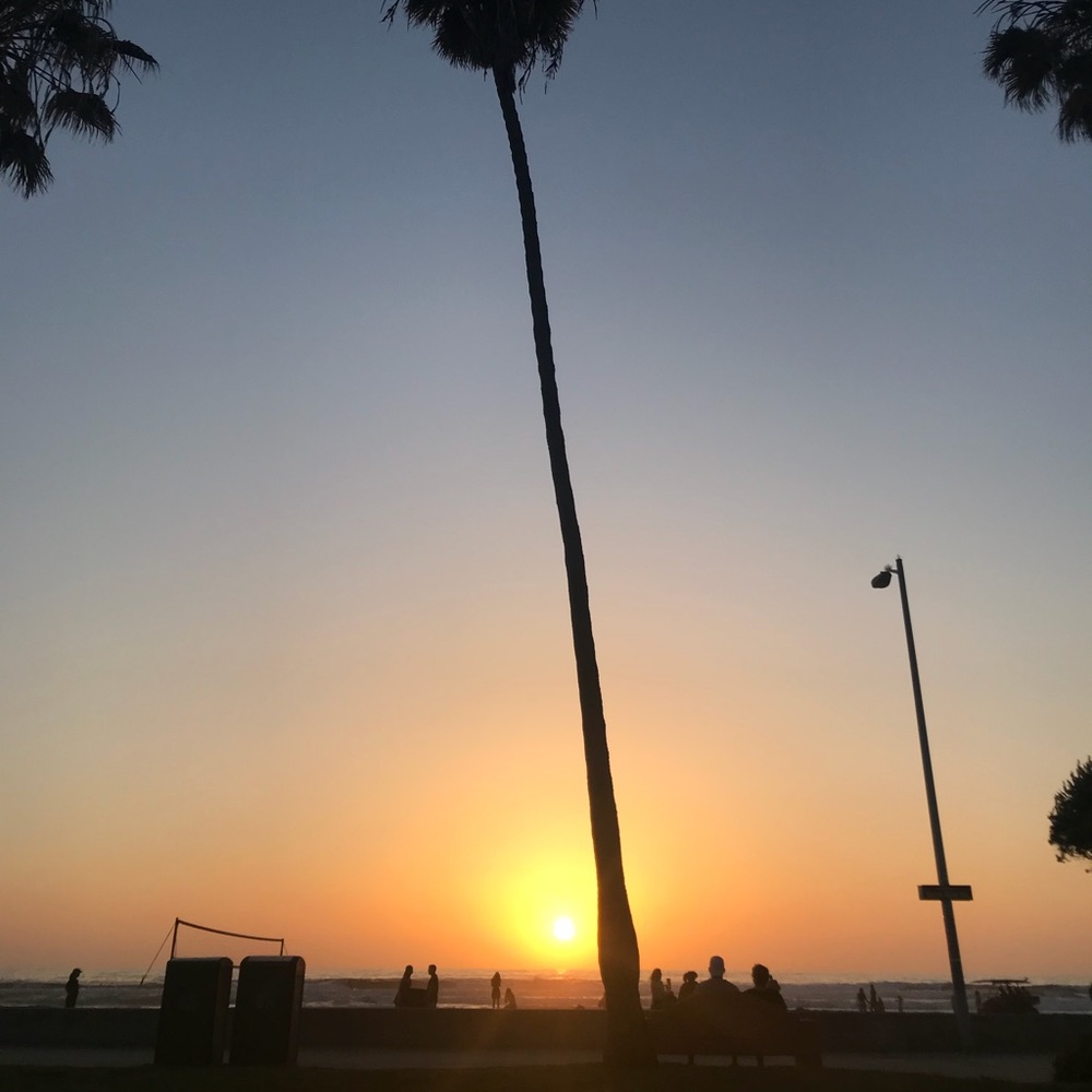 Meet your Posher, Patricia